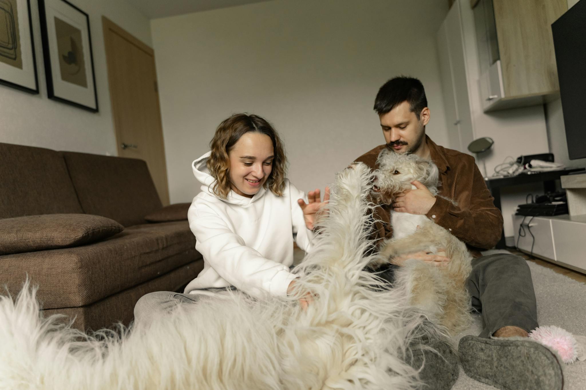 A couple playfully interacting with their two dogs inside a cozy living room.